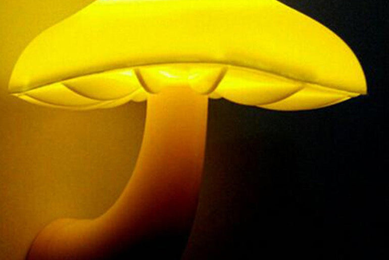 LED Night Light Mushroom Wall Socket Lamp - Urban Mart