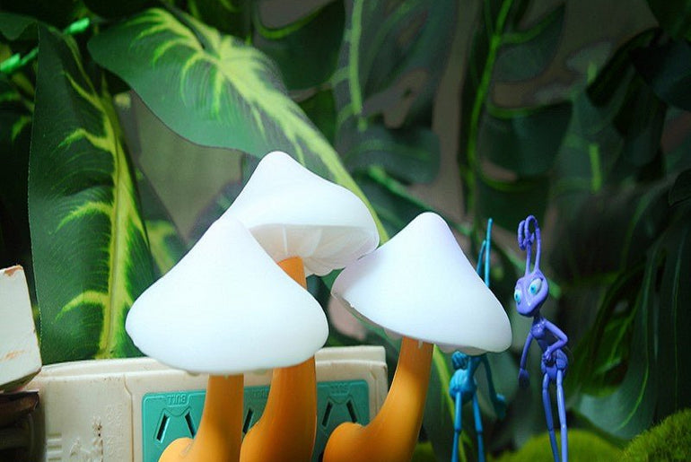 LED Night Light Mushroom Wall Socket Lamp - Urban Mart